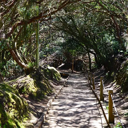 Appartement Playa Arena *